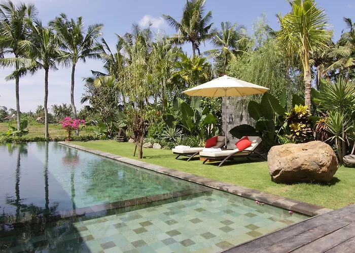 Dea Canggu